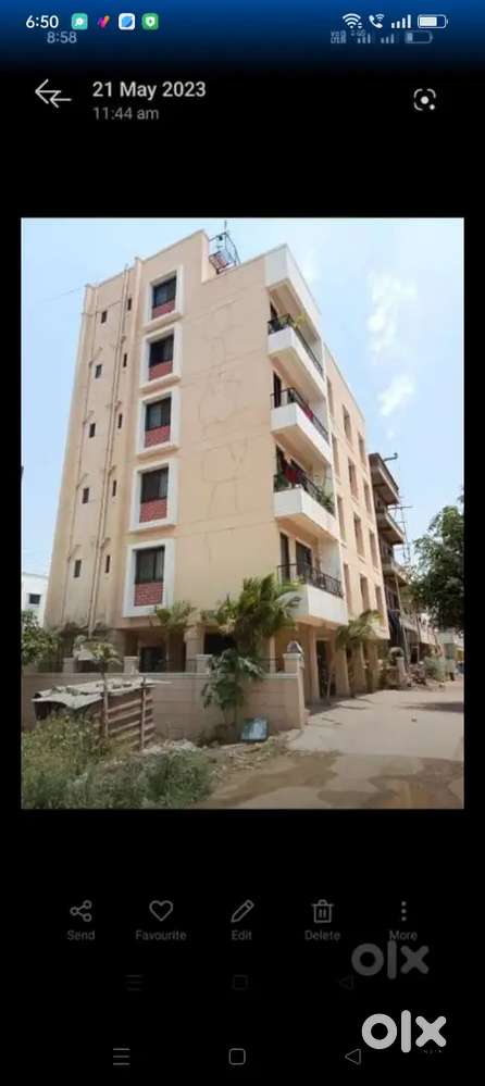 Rent 1 bhk