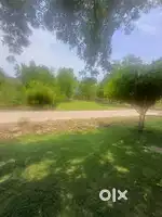 Land for sale Jhagaria neelbarh sehore road