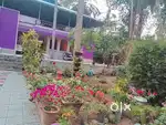 35 cent plot, 1400 sqrft house ONLY 800m FROM NH