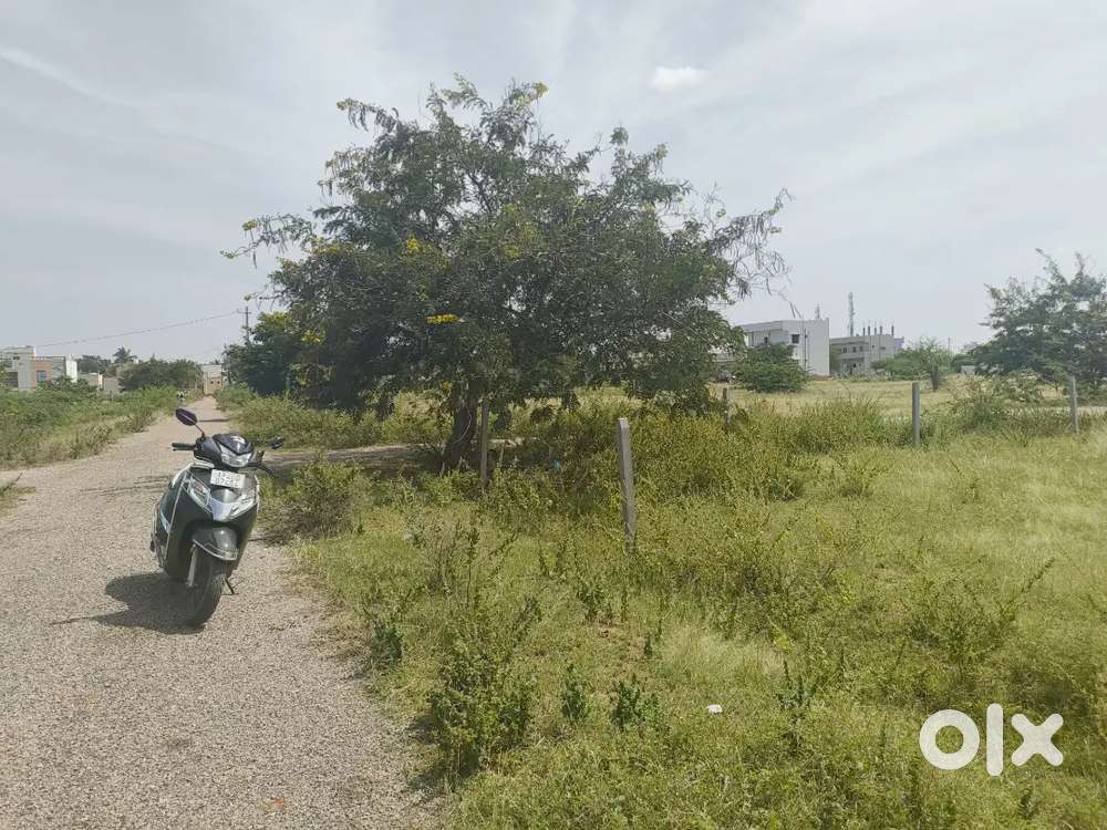 Selling 5cents land in Sk university, Akuthota palli each cent 610000.