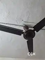 Fan and wall fan