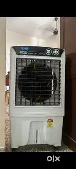 3 month old big size jumbo Cooler