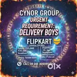 NEED DELIVERY BOY IN SITAMARHI BIHAR