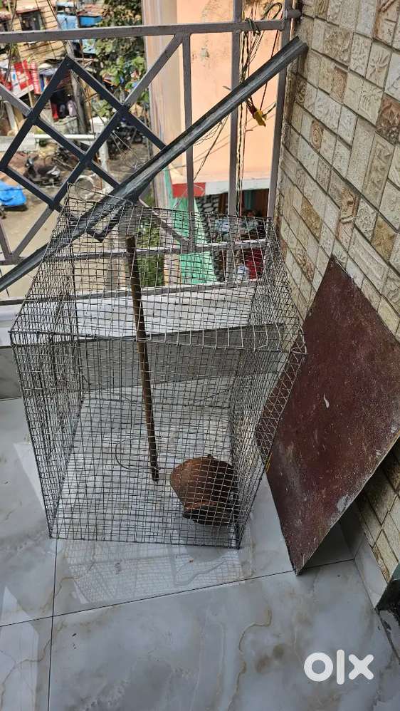Cage 26 inch  Small birds