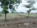 Gol khedi Beraisiya road