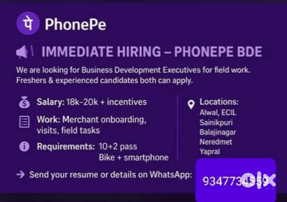 Business Development Executive