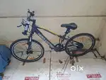 Electric cycle
