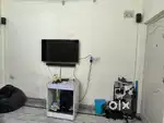Looking  female roommate