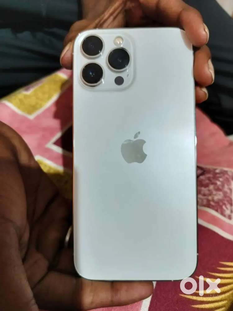 13 pro max