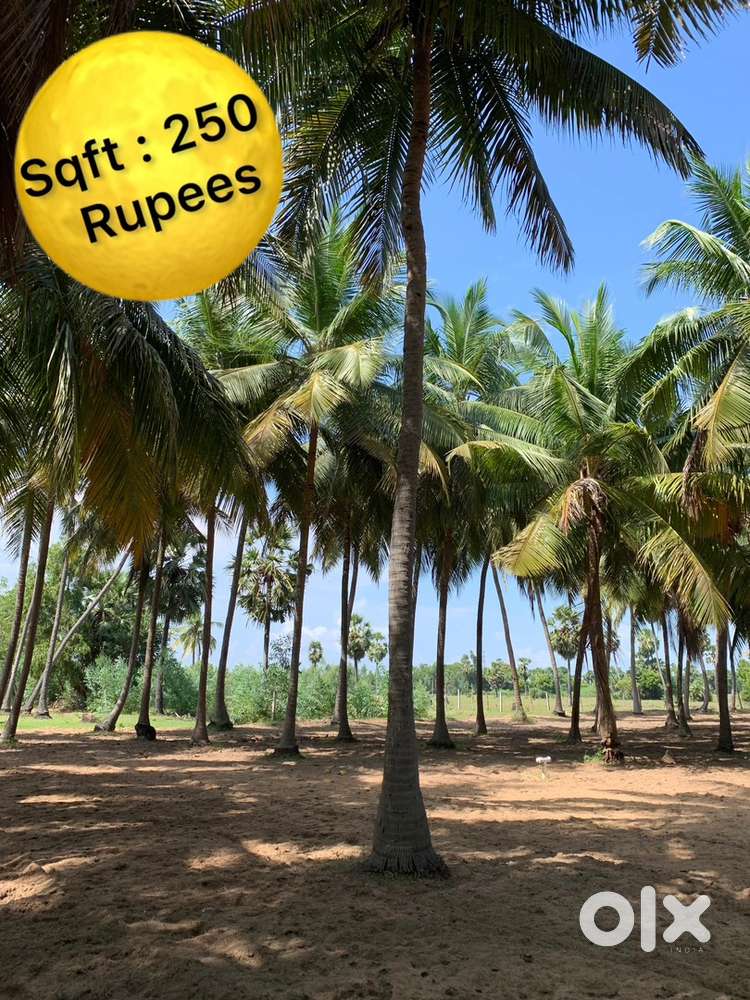 ECR Farm land (Marakanam)