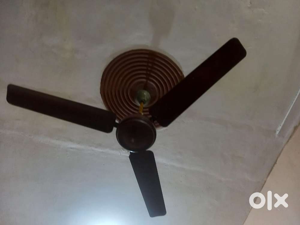Ceiling Fan - Crompton Greaves
