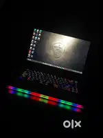 MSI GE66 Raider Gaming laptop | i7 | 32GB Ram | 2TB Storage | RGB