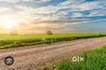283 YARD plot available for sale at Delhi road