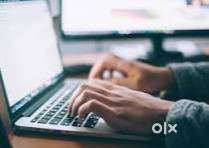 Fresher / Data Entry Operator