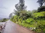 Urgent sale 6.50 biswa land .Kufri Chail Road . koti chail.Rahualti