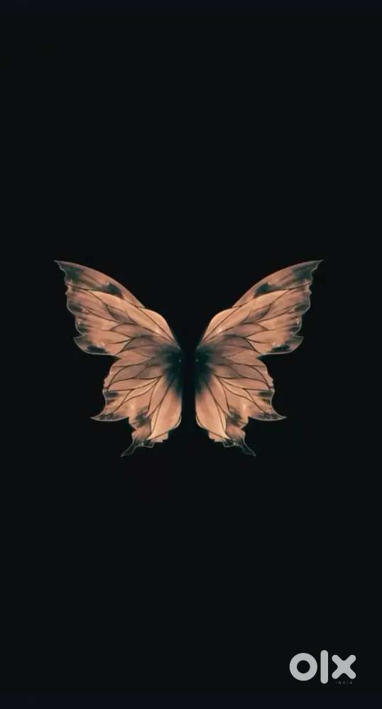 Receptionist and tellecaller ( only female)