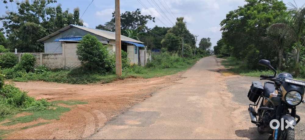Nanjikottai road Plot For Sale.