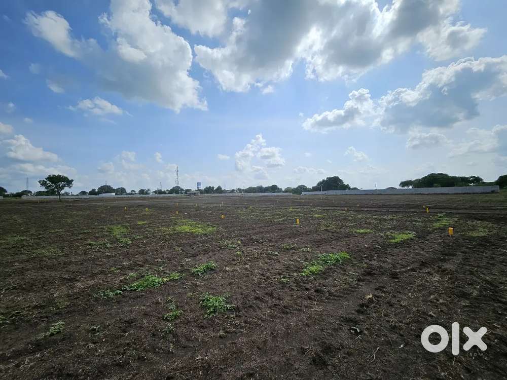 Investment for your kids