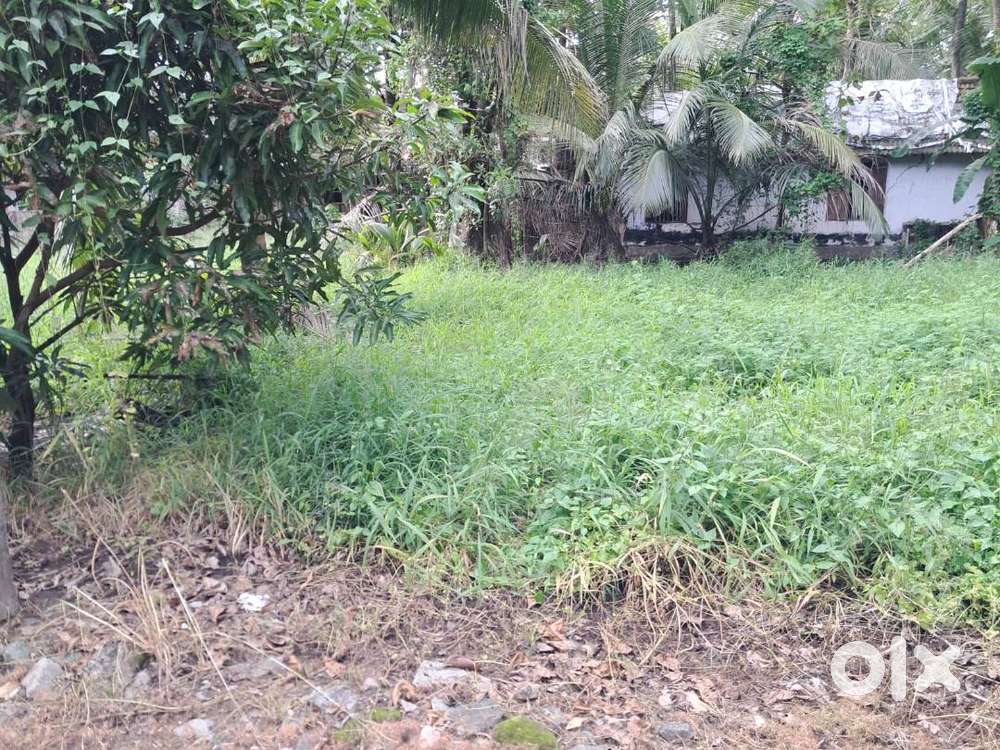 8 Cents of Commercial/ Residential Property in Chakkaraprambu, Vennala