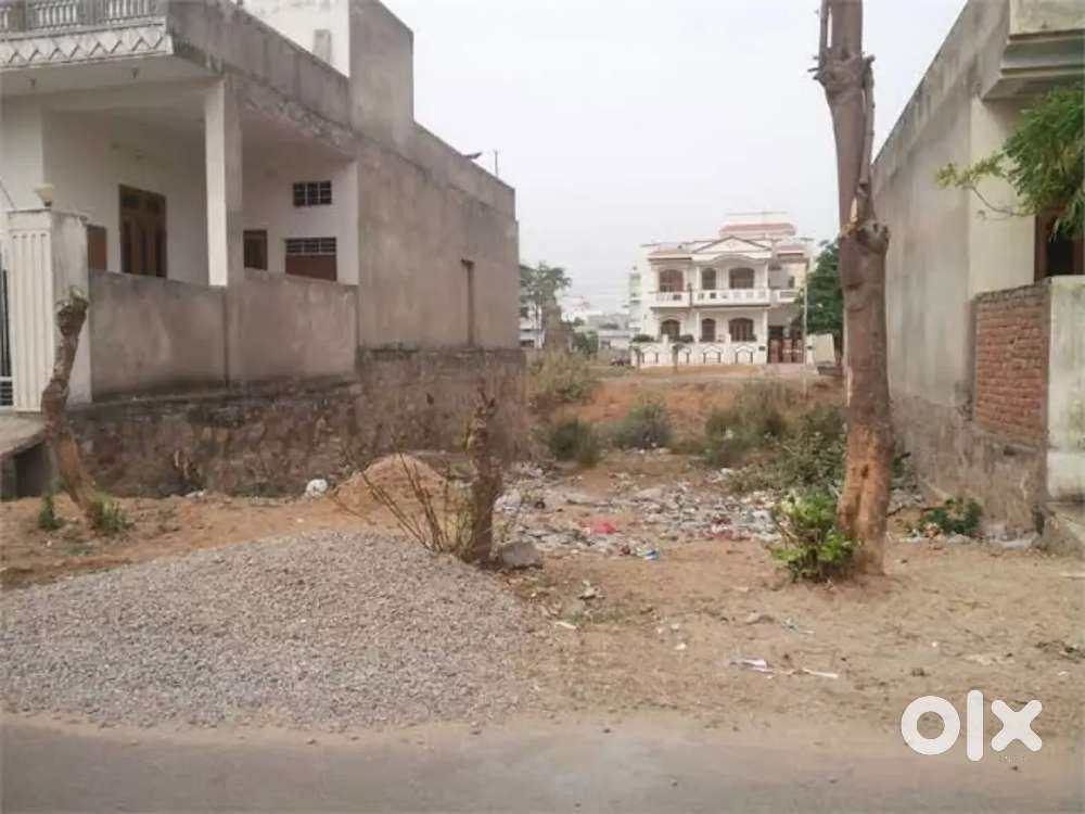 250 varg gaj plot on Nawalgarh road