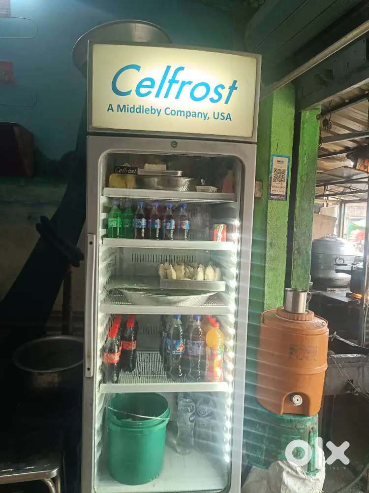 Cel Frost frizer