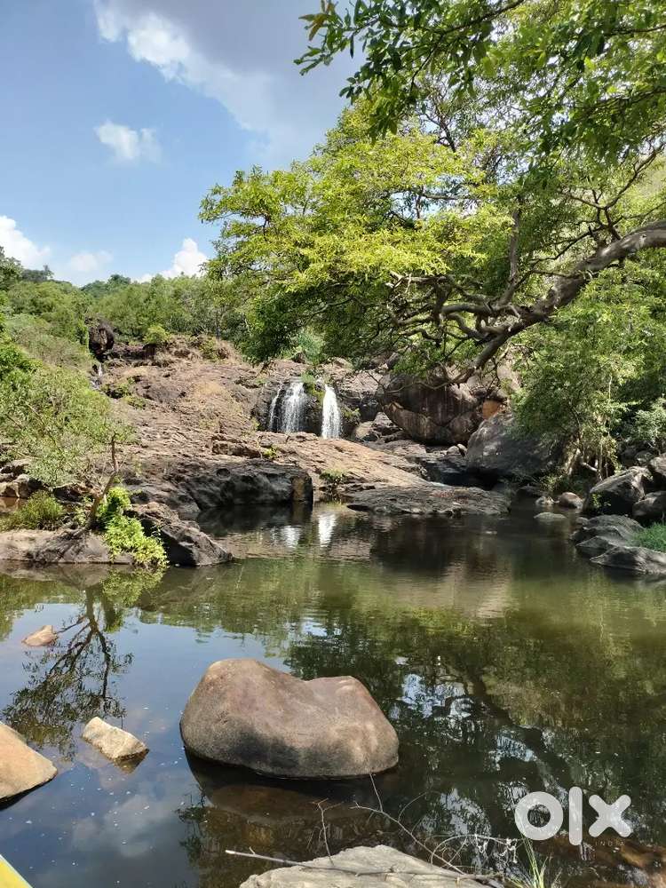 RICE MASTER,PAROTTA MASTER,HELPER