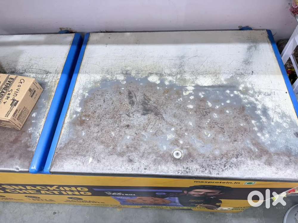 Blue Star Double door deep freezer