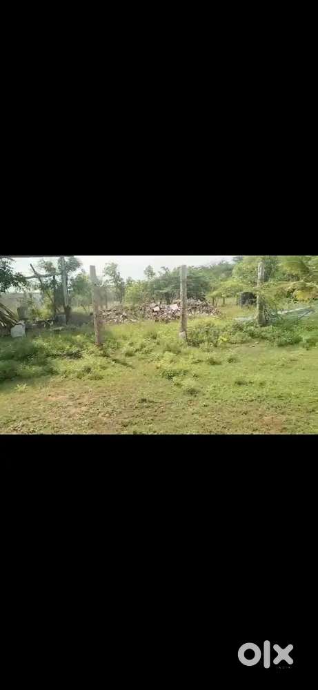 Sale land at near panjapur