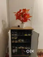 Medium size Shoe Rack