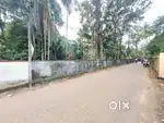 10 CENT ORGINAL LAND IN KONGORPILLY JUNCTION NEAR VARAPUZHA