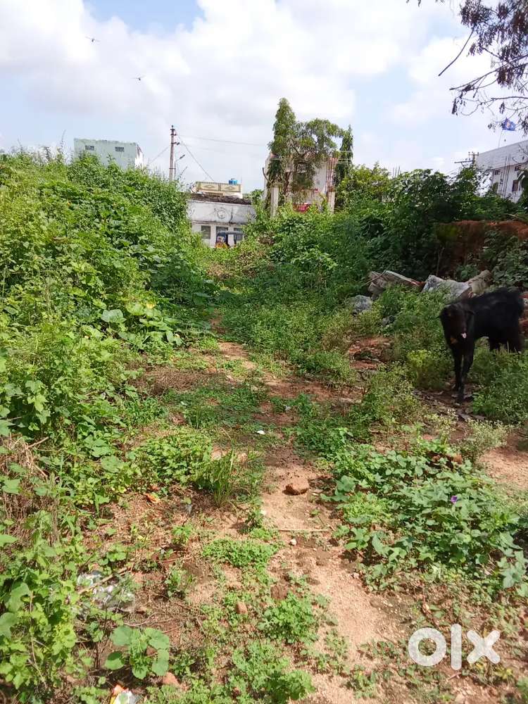 150 sf for sell 14 lacks