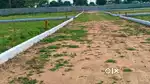 200 Sq-yards Plot Rs 11 Lakhs Near Shamshabad