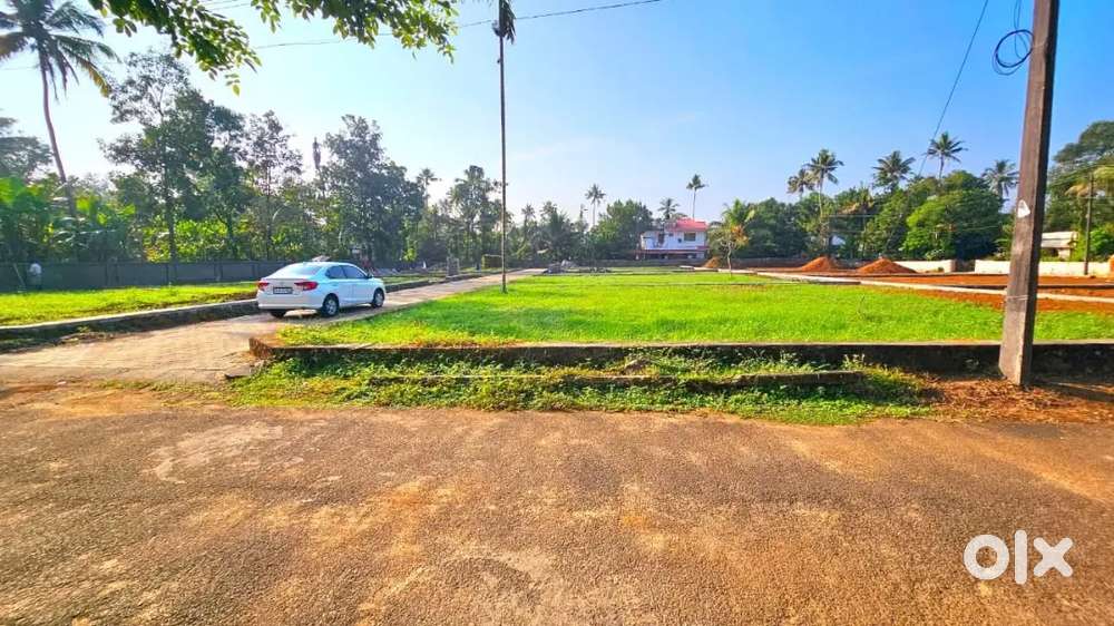 Kalady SreeSankaracharya College15 Min 5-10 Cent Premium Plot-FREE Reg