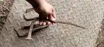 Varna juna khila jaoy ta huy to mesg kro