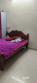Need room mate