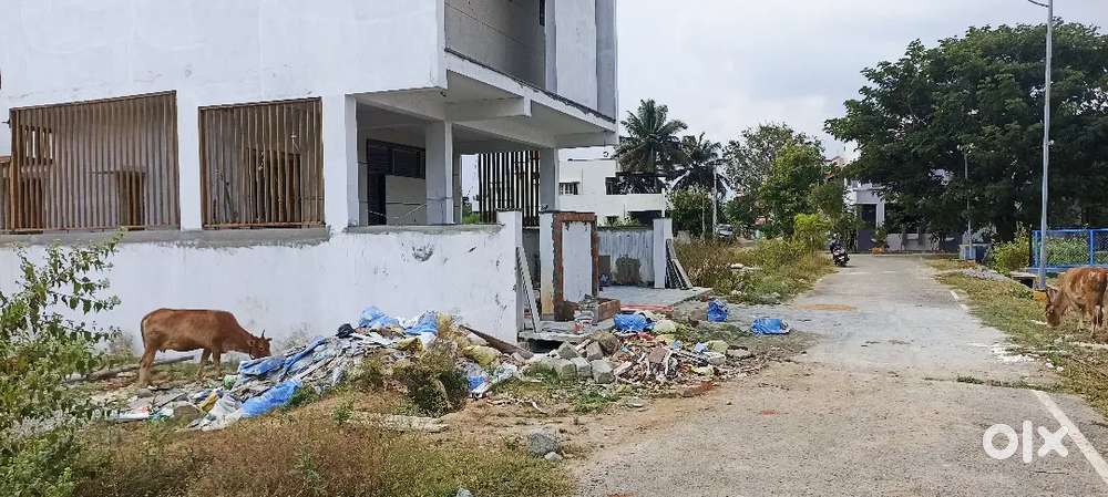 Devraj urs , Surya layout ,patel badavane within ₹3500