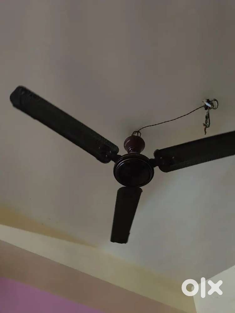 Fan only 1yr old
