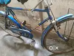 Avon AB 310 CYCLE