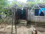 New House Urgent sell