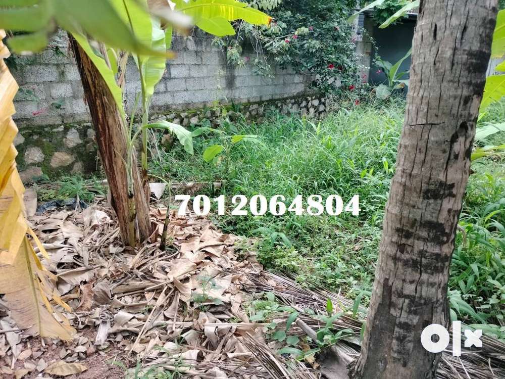 (ID-R189672) Residential 7 Cent Dry Land For Sale At Maruthoorkadavu