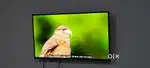 Brand new 43 sea pack smart android tv with warranty installation