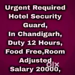 5 Star Hotel Security Guard Job Chandigarh 89