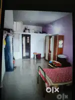 Boys or Girls