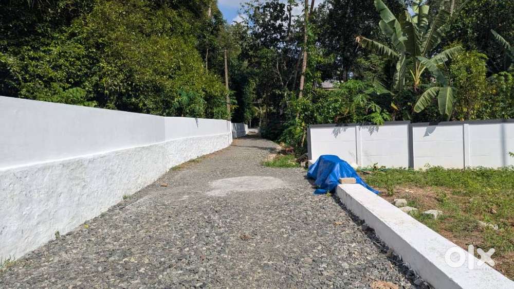 premium Plots in Angamaly Karukutty – Just 3L DP 90% Loan Free Reg.