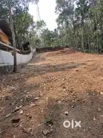 20 cent for sale poovar