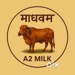 A2 cow milk delivery