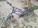 Cycle at 1500