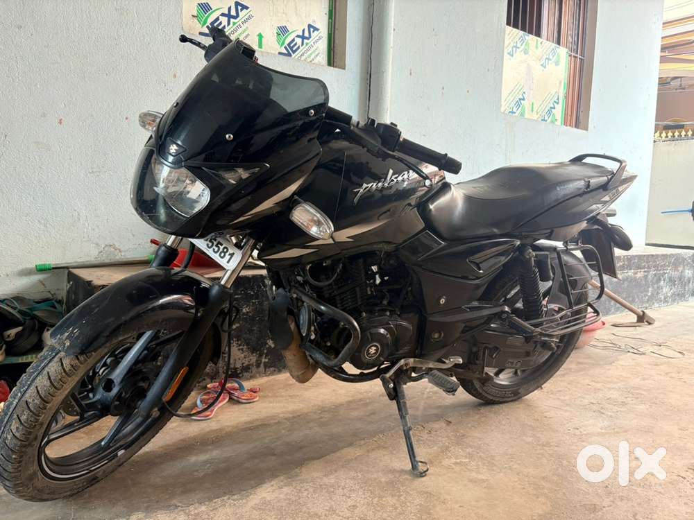 pulser 125 2023 last model