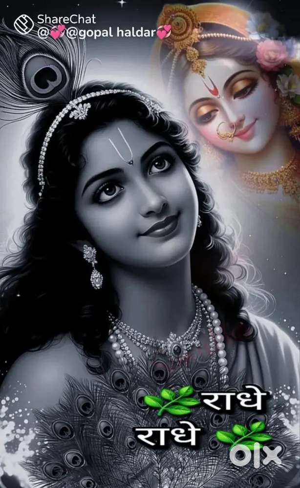 Rental house/ Apartment