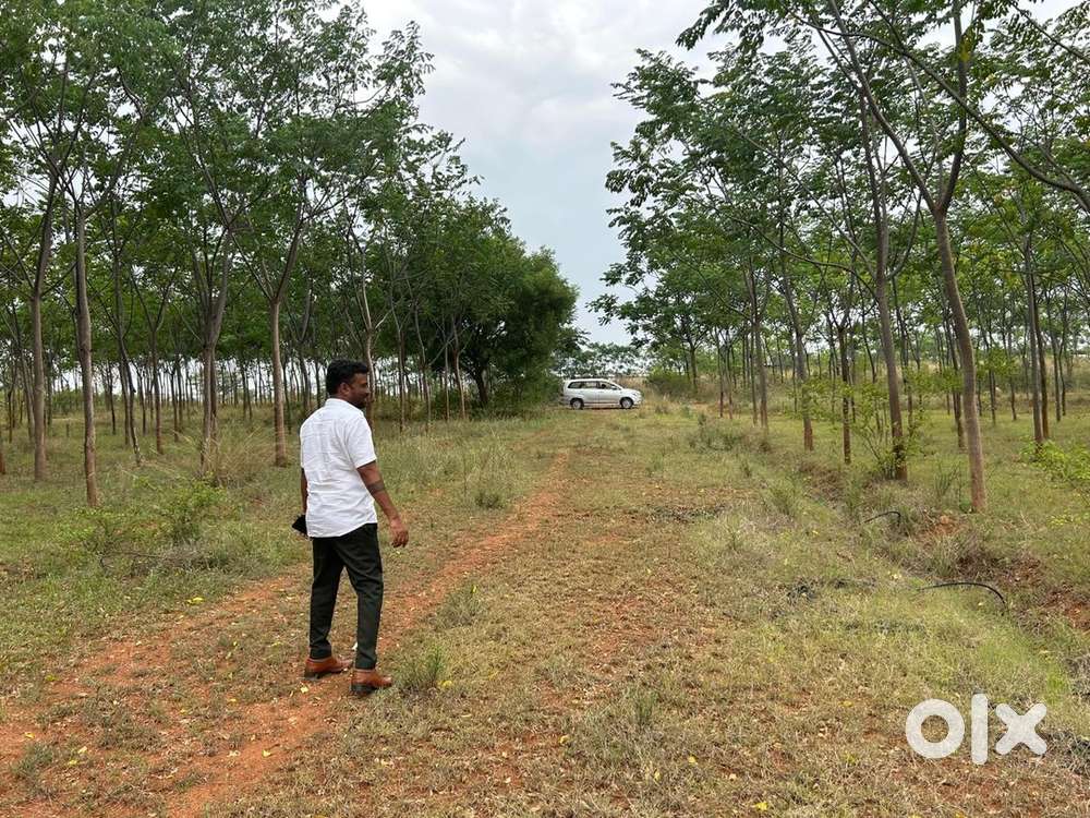 AMANAGAL to 5km , RRR inner , RANGAREDDY (dist), per syd 2999/-,